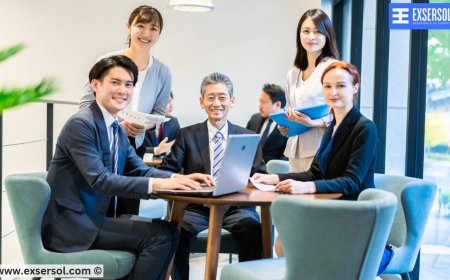 Professional Network Setup for Growing Businesses | Exsersol Inc Calgary